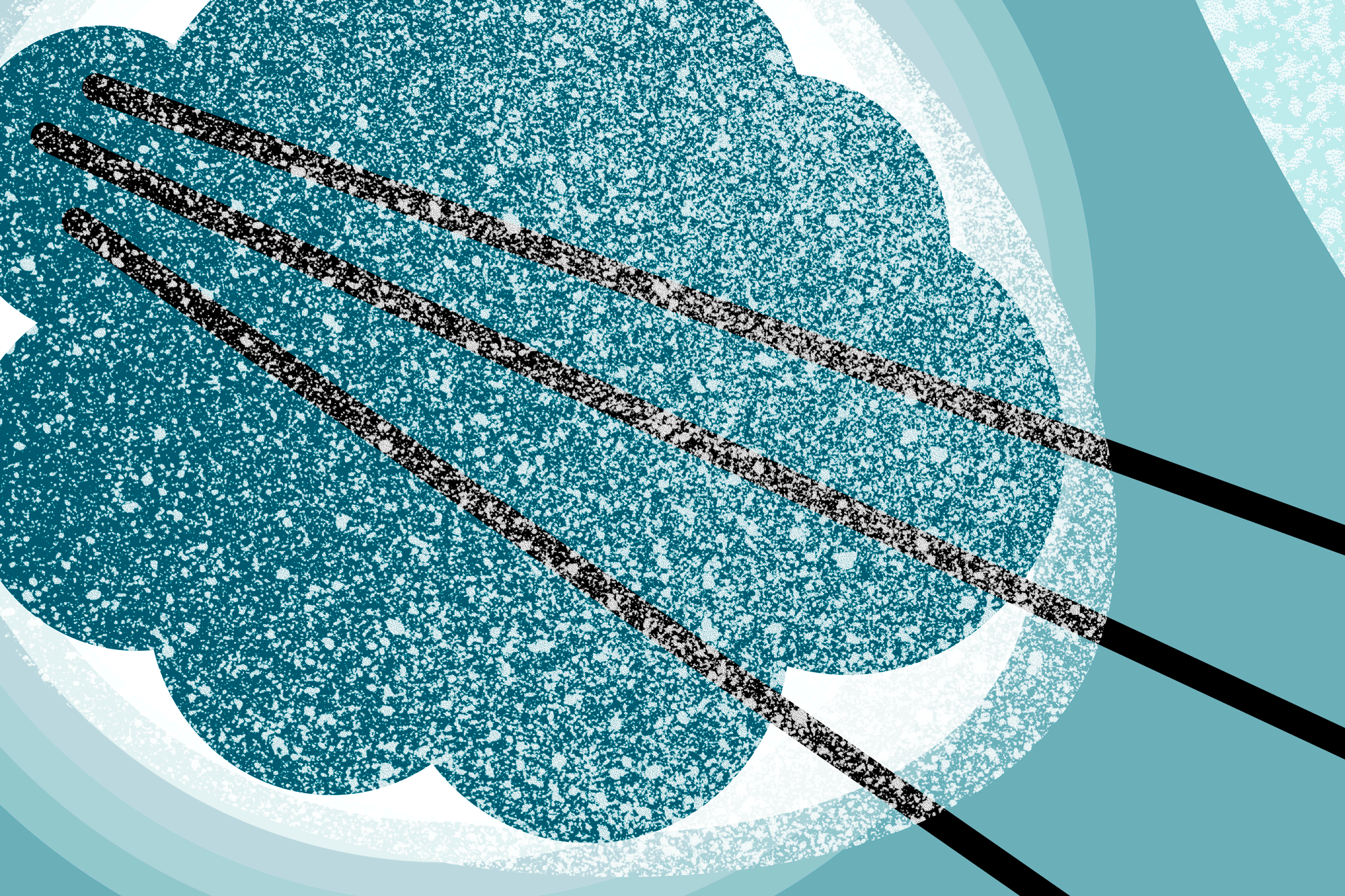 science_design-NR-BOREALIS-detail-2