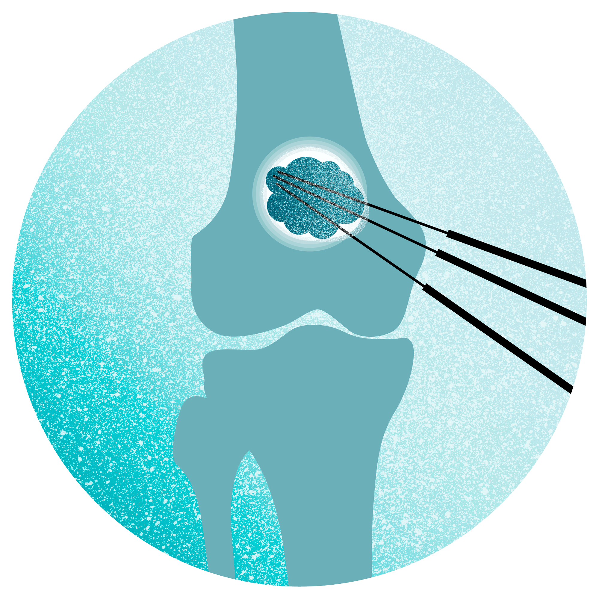 science_design-NR-BOREALIS